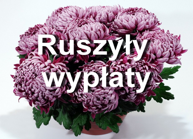 Ruszyła wypłata rekompensat