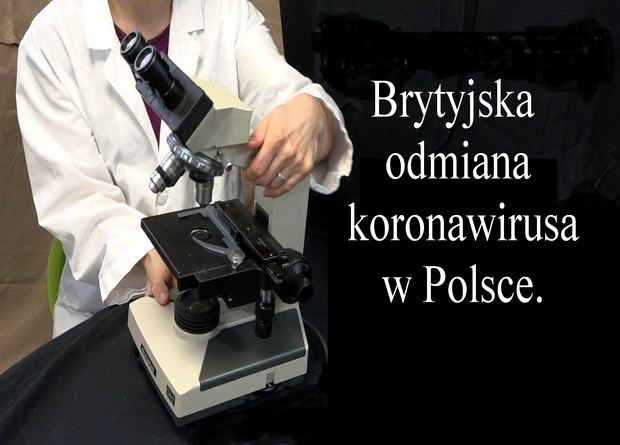 Brytyjska odmiana koronawirusa w Polsce.