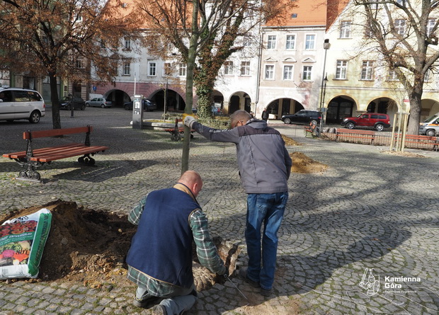 Kamienna Góra – zielenieje  …..