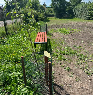 359835528_314221750967142_6634067816470489615_n