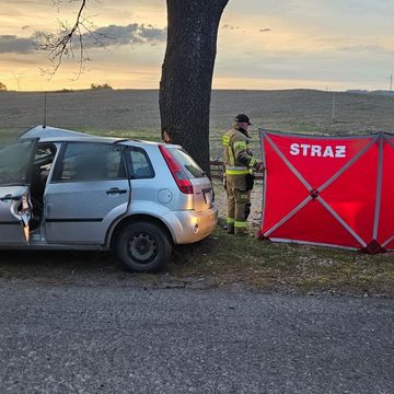 438223996_832553535568688_8265501720234083691_n