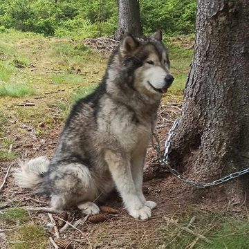 443715037_751743590497494_2079195615387048718_n