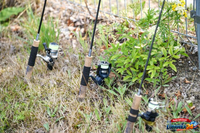 DSC_2329
